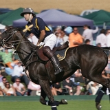 Photoscience - Polo and Wedding photographers in Hampshire Surrey and Sussex